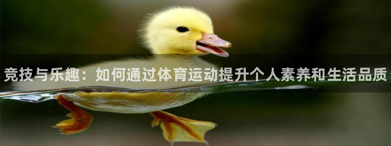vsport体育官方正版app开户