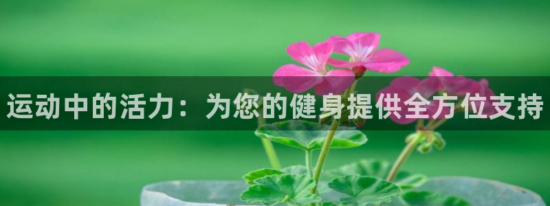vsport体育官方正版app集团官网首页网址
