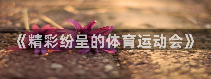 vsport体育官网下载平台