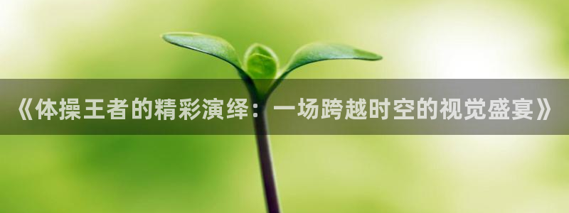 vsport体育官方正版app神州：《体操王者的精彩演绎：一