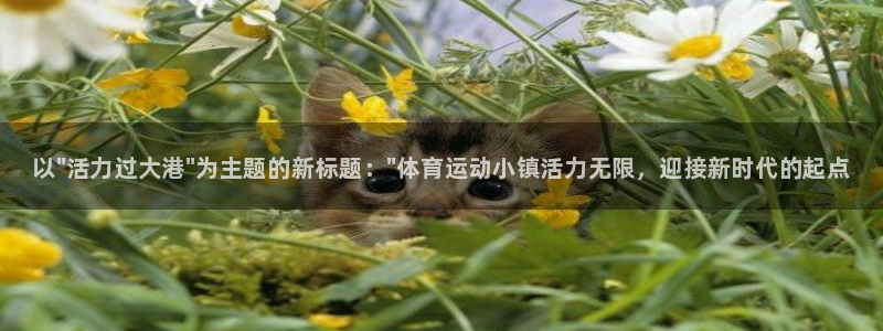 vsport体育官网下载平台假的吗是真的吗吗：以\