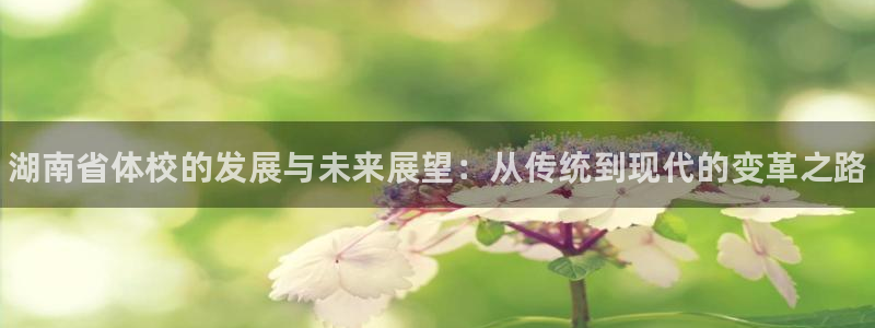 vsport体育官方正版app娱乐40996：湖南省体校的发