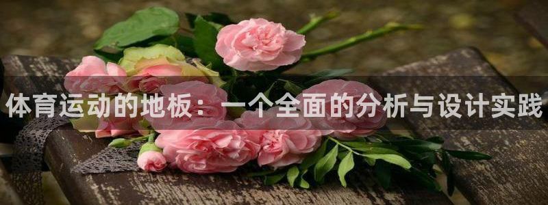 vsport体育官网下载招商电话号码：体育运动的地板：一个全