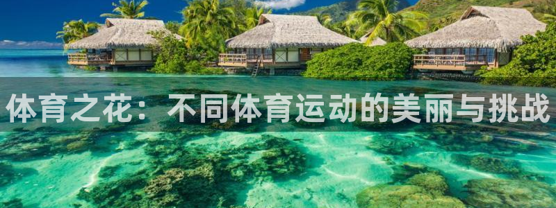 vsport体育官网下载娱乐：体育之花：不同体育运动的美丽与