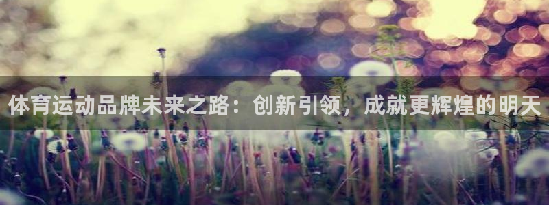 vsport体育官方正版app娱乐首页官网下载：体育运动品牌