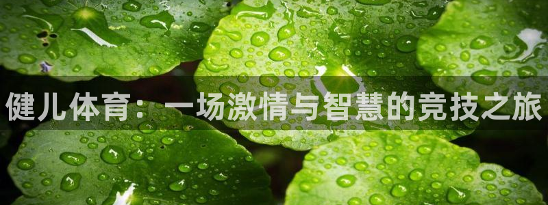 vsport体育官方正版app官网：健儿体育：一场激情与智慧