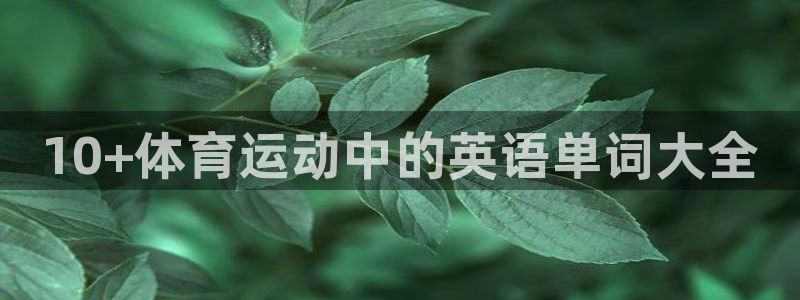 vsport体育官网下载招商电话号码查询：10+体育运动中的